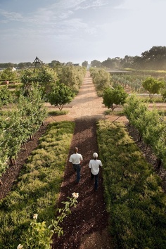 Babylonstoren. This garden
